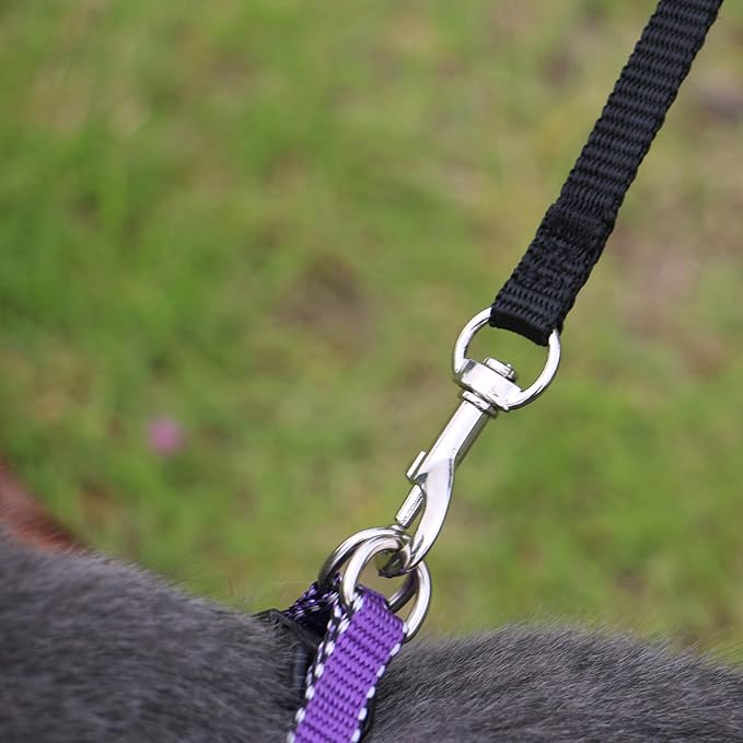AMAGOOD 6 FT Cat Leash, Strong and Durable Traditional Style Leash with Easy to Use Collar Hook,Cat Lead Great for Cats (3/8 in x 6 ft,Black and Brown(2-Pack))