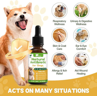 Dogs Antibiotics for Infection Coughs, UTIs, Allergies, Itching - Natural Antibiotics Supplement Drops for Cats to Support Digestion and Urination | Skin & Coat | All Breeds & Ages | 2 Oz