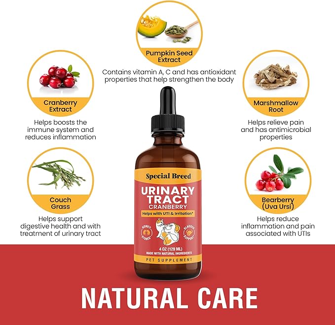 Cat & Dog Urinary Tract Infection Treatment – Natural UTI Relief with Cranberry Drops – Kidney & Bladder Support – Helps Incontinence, Frequent Urination, Bladder Stones – Pet Renal Care Drops