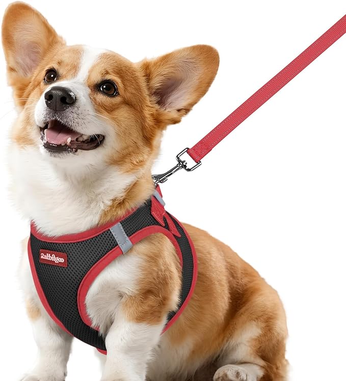 rabbitgoo Dog Harness Small Sized and Leash Set, Step-in Breathable Pet Harness, Soft Walking Reflective Puppy Vest for Small Dogs, Black & Red, L