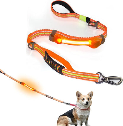 Heavy Duty Dog Leash and LED Light Set, LED Light with Nylon Stickers, Universal Glowing Accessories Easy to Attach Collar Leash and Harness, Safety LED Light Up Band for Dogs at Night Walking