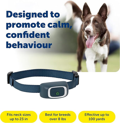 PetSafe 100 Yard Remote Training Collar – Smaller Version for Small or Medium Dogs – Choose from Tone, Vibration, or 15 Levels of Static Stimulation – Short Range Option for Training Off Leash Dogs