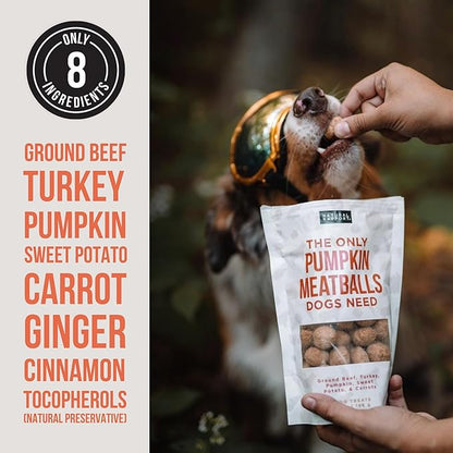Natural Rapport Dog Treats - The Only Snacks Dogs Need - All Natural Dog Treats, No Additives, for Large & Small Dogs (Pumpkin Meatball, 4 oz.)