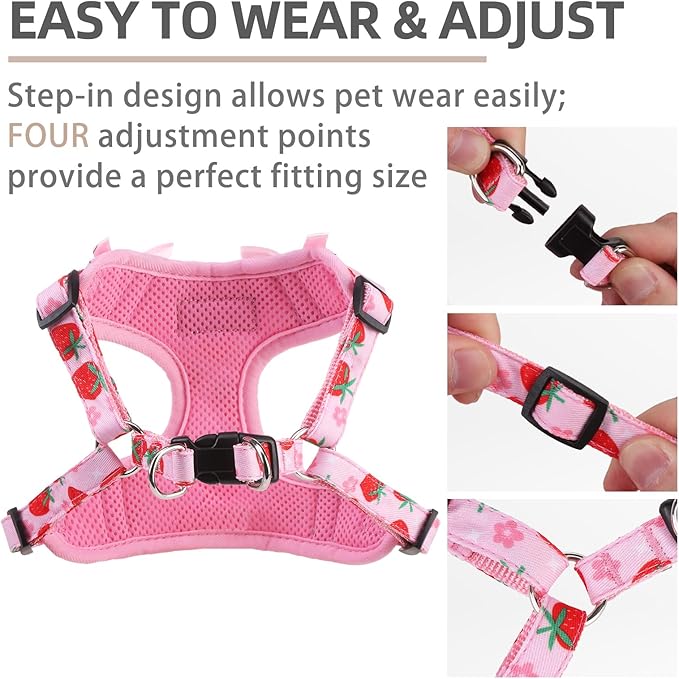 PUPTECK Dog Harness and Leash Set Small Sized, Step in No Pull Adjustable Puppy Cat Harness Reflective Pet Vest