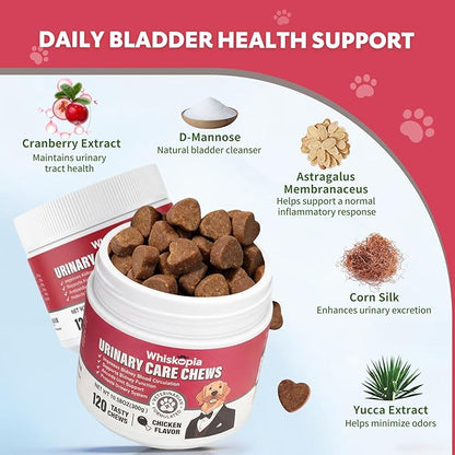 Dog UTI Treatment Cranberry Chews for Dogs Urinary Tract Supplement for Dogs and Cats with D-Mannose, Supports Canine Kidney Bladder Health Immune and Gut Support Bladder Control for Dogs- 120 Ct