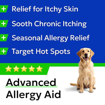 BARK&SPARK Dog Allergy Relief Soft Chews for Skin Health & Seasonal Allergies - Anti-Itch Supplement w/Omega-3, Quercetin & Bromelain Immune Treats for Dry Skin & Hot Spots - Chicken - 60ct