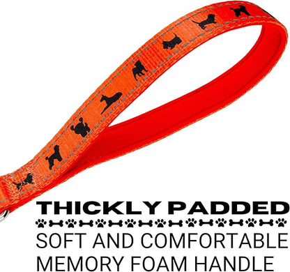 EcoBark Dog Leash - Soft & Reflective Comfort Training Leashes with Padded Handle - Safe, Strong, & Durable for Small, Medium or Large Dogs (Orange)