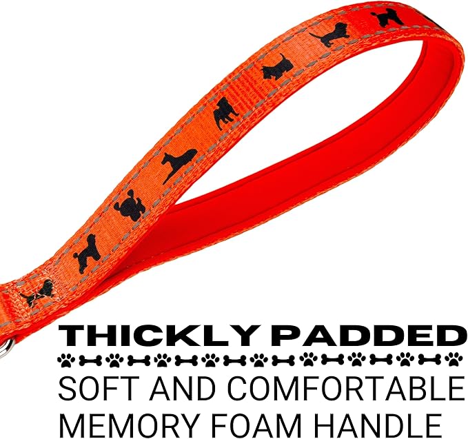EcoBark Dog Leash - Soft & Reflective Comfort Leashes with Padded Handle - Strong Durable Heavy Duty - Training and Pulling for Small, Medium or Large Dogs (Orange)