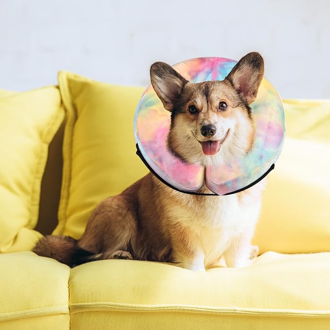 Dog Neck Collar Recovery E-Collar Alternative, Dog Donut Collar After Surgery for Dogs and Cats(Pink Blue, M)