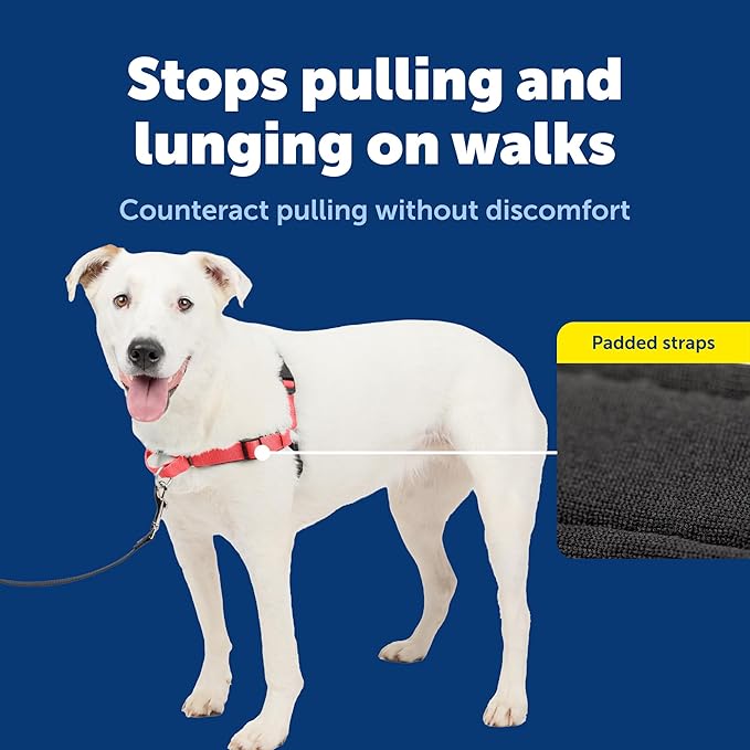 PetSafe Deluxe Easy Walk Harness - Trainer-Trusted Dog Chest Harness with Breathable Martingale Loop Design - Helps Stop Pulling with No Choking & Gagging - Medium/Large - Rose