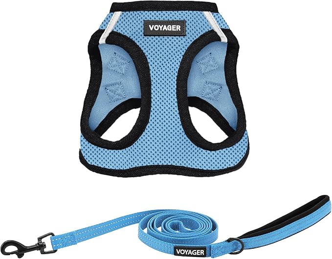 Best Pet Supplies Voyager Step-in Air All Weather Mesh Harness and Reflective Dog 5ft Leash Combo with Neoprene Handle, for Small, Medium and Large Breed Puppies - Set (Baby Blue/Black Trim), X-Small