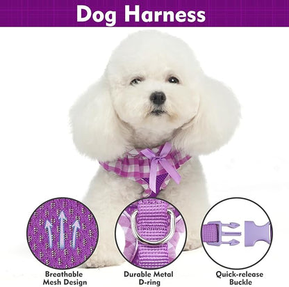 EXPAWLORER Cute Dog Harness and Leash Set - Purple Girl Dog Harness Checkered Step-in Design, Easy Adjustable No-Choke Lightweight Breathable Vest for Puppy Small Dogs Cats Outdoor Walking, X-Small