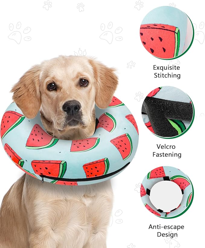 MIDOG Inflatable Dog Cone Alternative for After Surgery - Soft Protective Donut Collar Prevents Licking, Comfortable Recovery E-Collar Alternative for Small Medium Large Dogs (Watermelon,M)