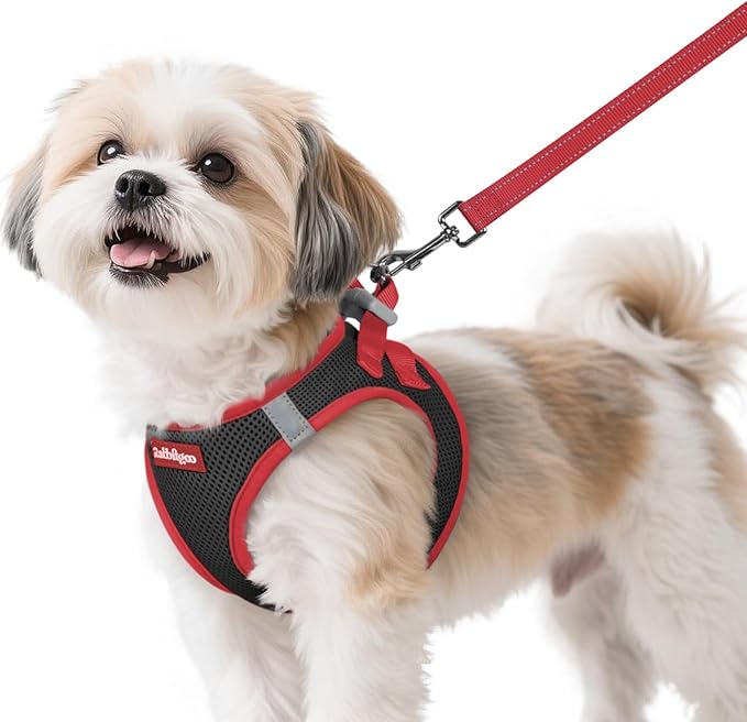 rabbitgoo Dog Harness Small Sized and Leash Set, Step-in Breathable Pet Harness, Soft Walking Reflective Puppy Vest for Small Dogs, Black & Red, S