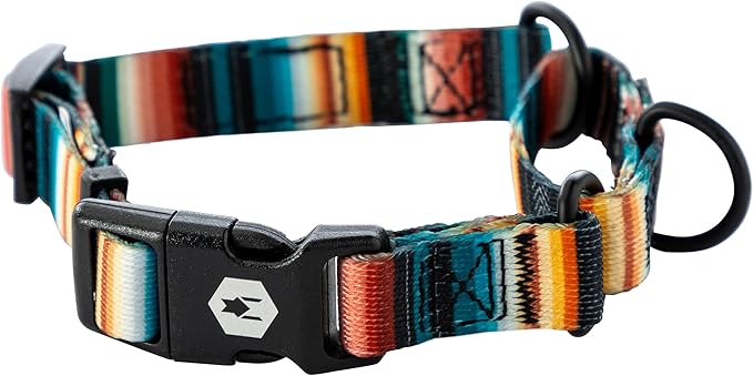 Wolfgang Heavy Duty Martingale Dog Collar with Quick Release Nylon Buckle for Walking & Training, LostArt Print, Small