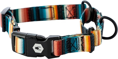 Wolfgang Heavy Duty Martingale Dog Collar with Quick Release Nylon Buckle for Walking & Training, LostArt Print, Small