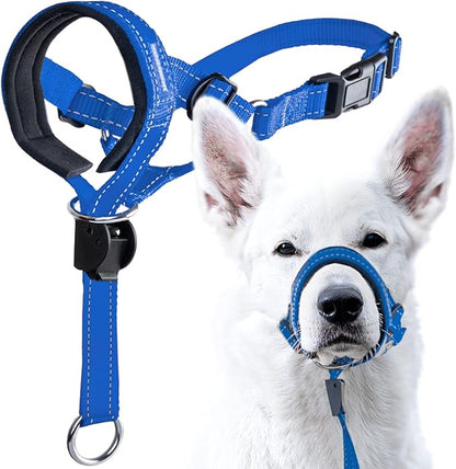 GoodBoy Dog Head Halter with Safety Strap - Stops Heavy Pulling On The Leash - Padded Headcollar for Small Medium and Large Dog Sizes - Head Collar Training Guide Included (Size 4, Blue Nylon)