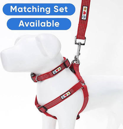 Pawtitas Red Dog Leash 6 ft M/L Reflective Durable Lightweight Dog Lead for Medium or Large Dogs and Puppies