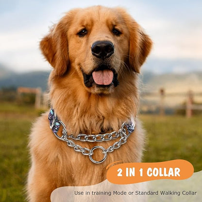 Skull Chain Martingale Collar for Dogs, No Pull Slip Cinch Choker Choke Collar Training Escape Proof Heavy Duty Dog Collar for Extra Large Medium Large Pet Boy Male Dogs, M