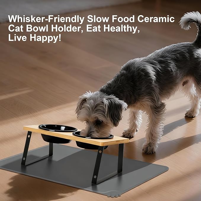 LEAWALK Upgraded Adjustable Height Cat Food Bowls Stand Ceramic Dog Bowls and Slow Feeder Cat Bowl, 15°Tilted Stand Anti Vomiting Raised for Small and Medium Sized Cats Dogs (Black (2 Bowl+Pet mat))
