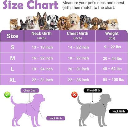 Funfox Dog Harness No Pull, Adjustable Pet Vest Harness, Super Soft Material with Vertical Handle Easy Control, Reflective Night Walking, 2 Leash Clips for Medium Sized Dogs, Purple, M