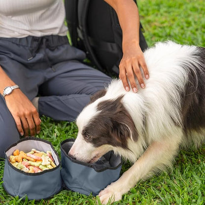 OllyDog Superbowl | Collapsible Dog Travel Bowl | 2 Compartment Food & Water | Foldable| Portable Dog Bowl | Hiking, Camping (Castle Rock)