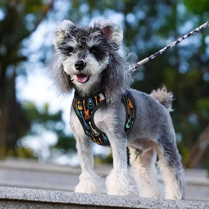 Dog Harness and Leash Set with Electric Guitars Music Pattern, Breathable Mesh Vest with Reflective Strips, Adjustable No Pull Pet Harness for Small Dogs and Cats Medium