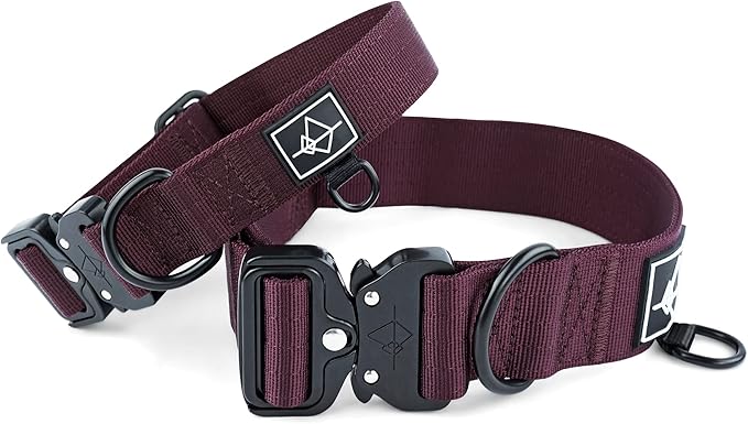 Made to ROAM Premium Dog Collar - Adjustable Heavy Duty Nylon Collar with Quick-Release Metal Buckle (Vermont Weekends, Classic Size 3)