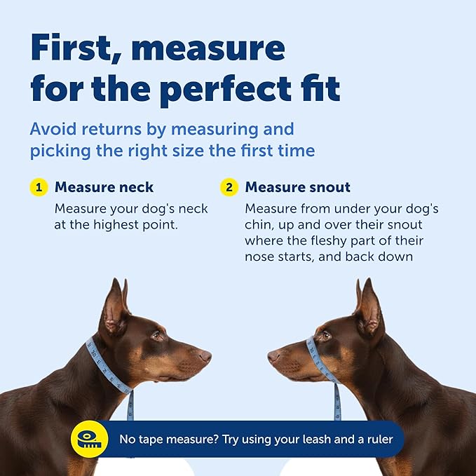 PetSafe Gentle Leader Headcollar No-Pull Dog Collar - Helps Improve Walks - Durable Nylon Construction - Padded Nose Loop - Adjustable Fit - Comfort Walking Halter - Small, Deep Purple