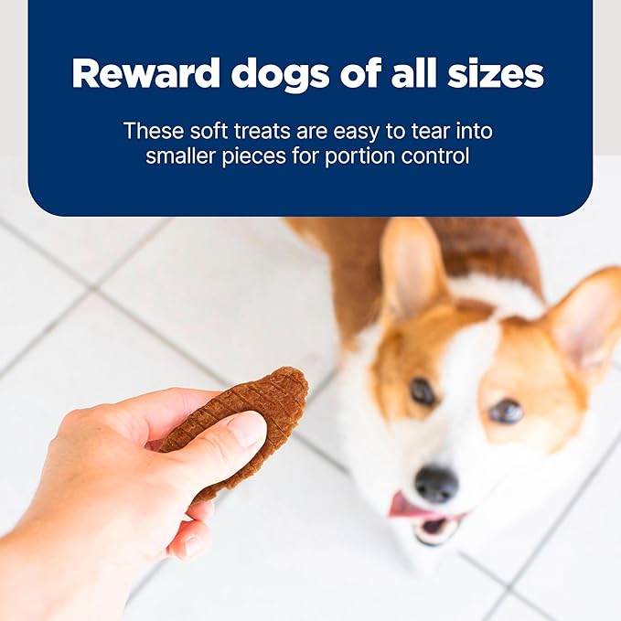 Blue Buffalo Nudges Jerky Bites Dog Treats, Made in the USA with Natural Ingredients, Bite-Sized Pieces, Chicken, 16-oz Bag