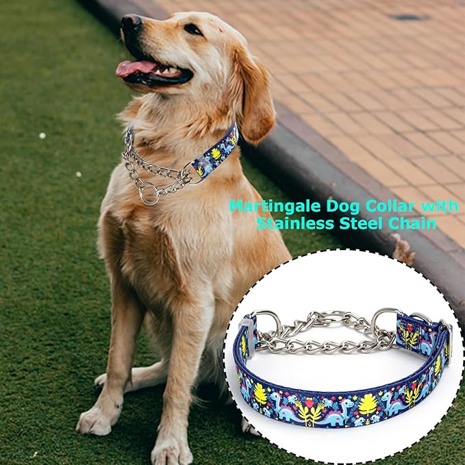 Martingale Dog Collar - Adjustable Anti-Pull Training Collar with Safe Choke Chain Design,Dinosaur Pattern for Medium,Large & XL Dogs (Dinosaur XL)