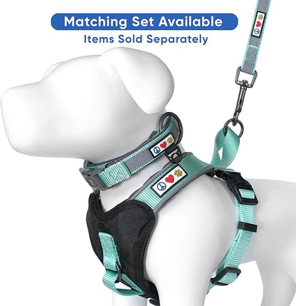 Pawtitas Lumberjack Padded Martingale Collar for Dogs | Soft Neoprene Dog Collar for Your pet's Comfort Made with Reflective Band for Maximum Visibility | Fits Small and Large Pets - Medium Teal