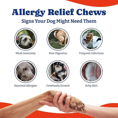 Dog Allergy Relief Chews – 70 Soft Chews, Salmon & Blueberry Flavor - Immune Support & Itch Relief with Colostrum, Astragalus Root, 6-Strain Gut Health Blend