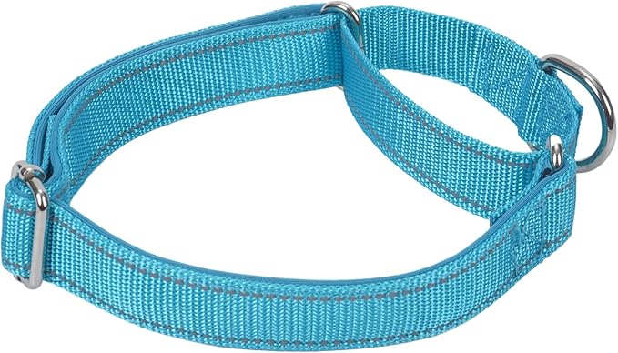 SGODA Martingale Dog Collar, Reflective Nylon Padded Dog Training Collars for Medium Dogs, Blue M