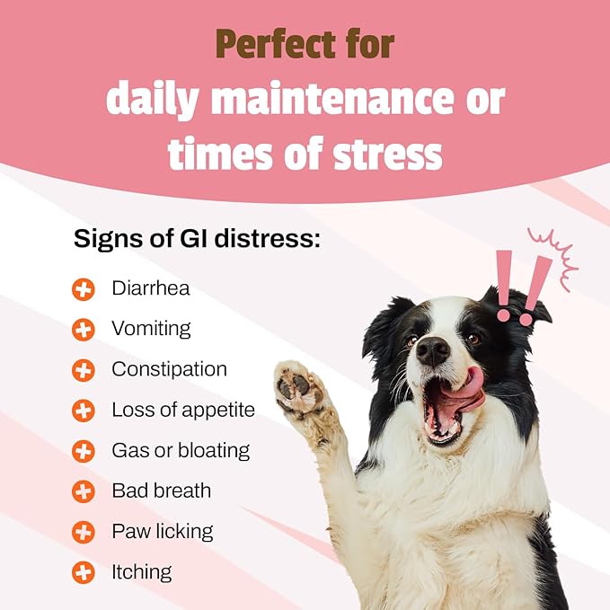 Pet Naturals Daily Probiotic for Dogs,Duck Flavor,160 Chews - 120M CFUs Pre and Probiotics for Dogs Digestive Health,Gut Health,Immune Support,Diarrhea,Allergies and Itching,(Pack of 2)