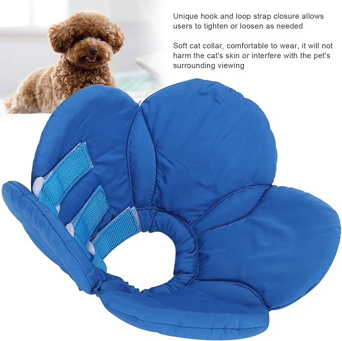 Dog Cone Collar, Wound Healing Protective Cone Surgery Recovery Collars Dog Donut Collar After Surgery Elizabethan Collar for Dogs Adjustable Soft Neck Cone for Small Pet (M)