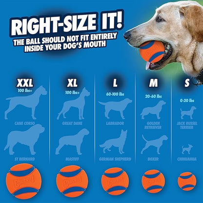 Chuckit! Ultra Ball Dog Toy - Medium Bouncy Fetch Balls for Dogs 20-60 lbs - Made from Durable Rubber - Floating Water Pet Toys - Size Medium - 2.5-inch Diameter -,2 Count (Pack of 6)