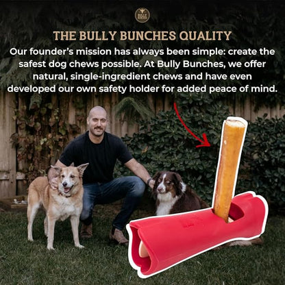 Bully Bunches All Natural 6" Standard Braided Bully Sticks - Odour Free, Rawhide Free, Chemical Free - Safe, Long Lasting Thick Beef Dog Chews - Fully Digestible Treat for Small and Medium Dogs, 10 Pk