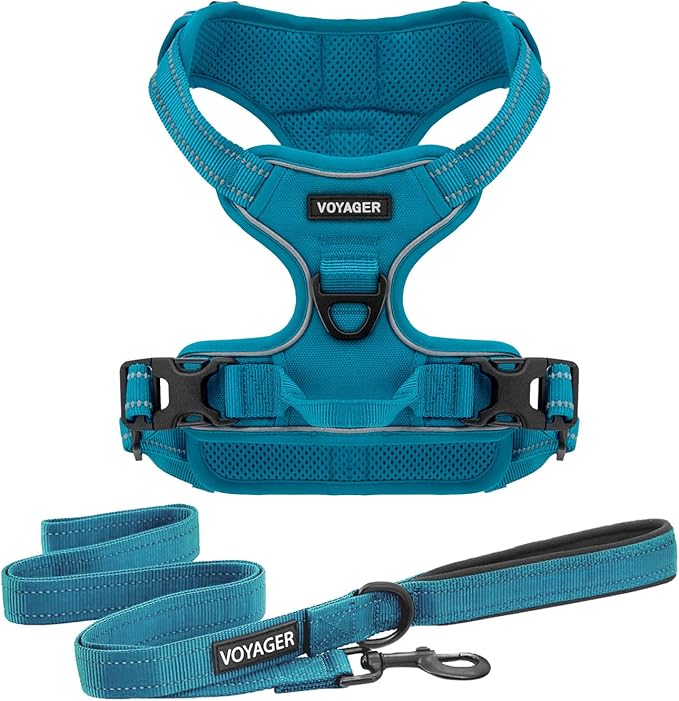 Voyager Dog Harness Dual Leash Attachment No-Pull Control Adjustable Soft but Strong Pet Harness for Medium and Large Dogs with 3M Reflective Technology, Leash Set Turquoise Nylon, S (Chest: 16-20")