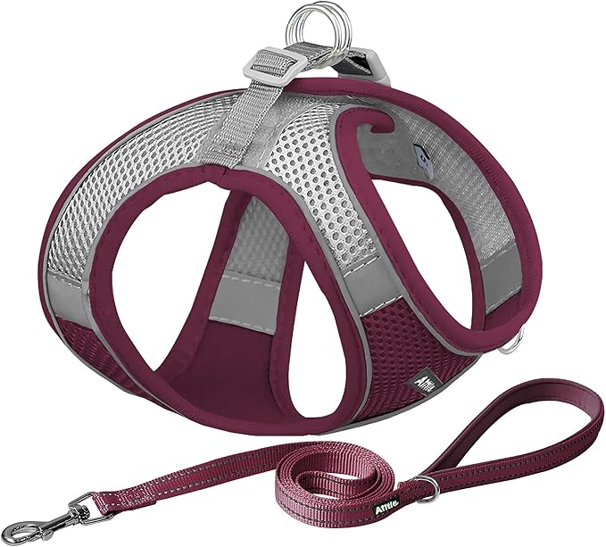 AIITLE No Pull Dog Harness and Leash Set, Christmas Step in Adjustable Dog Harness with Padded Vest for All Weather, Dog Leash with Soft Padded Handle, Easy to Put on Small and Medium Dogs Burgundy S