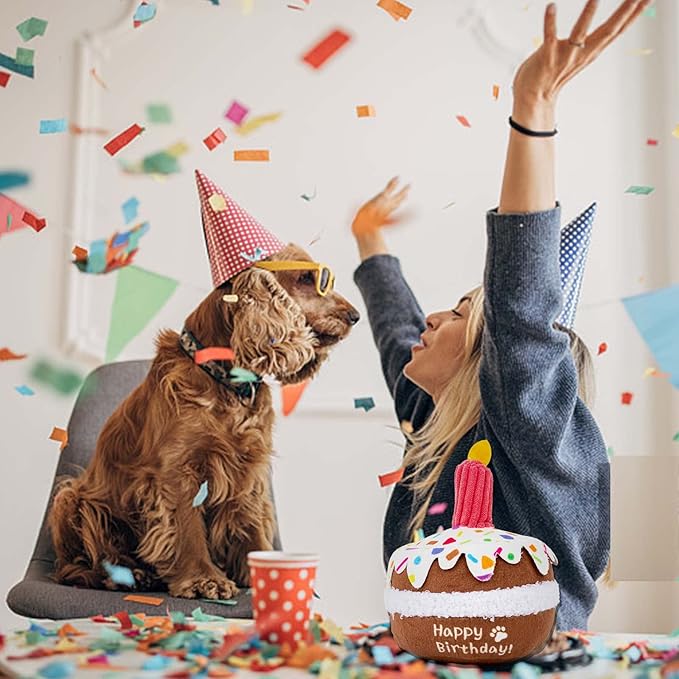 lilfrd Dog Birthday Toy, Birthday Cake Toys for Puppy Gifts, Squeaky Plush Dog Toys