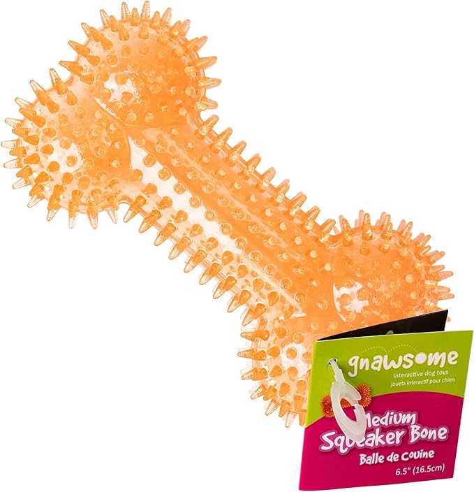 Gnawsome Dog Toys - 6.5” Spiky Squeaker Bone - Medium - Dental & Gum Wellness - Stimulating Fun - Hidden Squeaker - Durable for Heavy Chewers - 100% BPA-Free - Assorted Colors