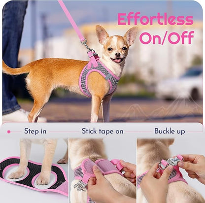 Eagloo Small Dog Harness and Leash Set, Step in Puppy Vest with Breathable Soft Mesh, Walking Reflective Pet Harness for Extra Small Dogs, Pink, XXS