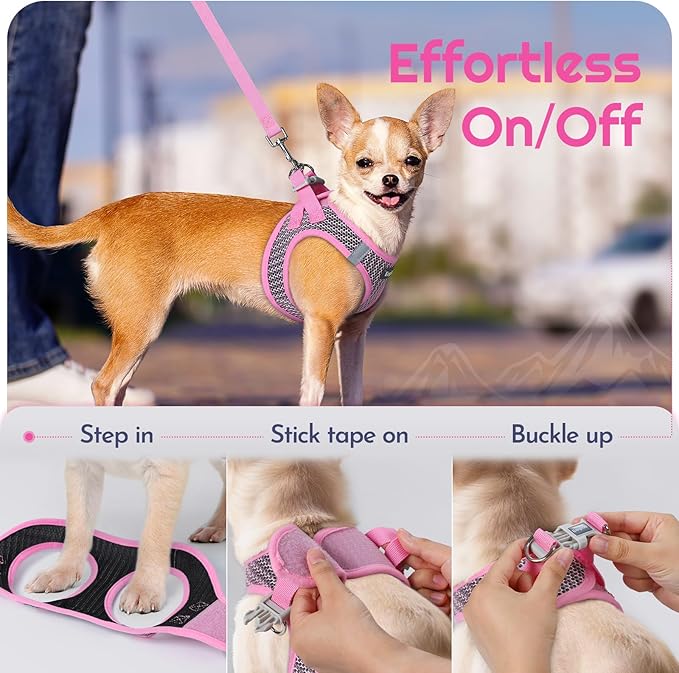 Eagloo Small Dog Harness and Leash Set, Step in Puppy Vest with Breathable Soft Mesh, Walking Reflective Pet Harness for Medium Small Dogs, Pink, L