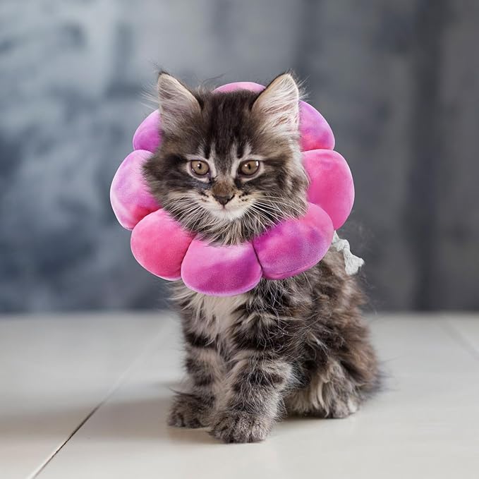 Flower Cat Cone, Uadonile Adjustable Cat Cone Collar, Soft Dog Elizabethan Collar Recovery E Collar After Surgery, Recovery E-Collar for Kittens/Puppies and Cats Recovery(Tie-dye Rose Purple, S)