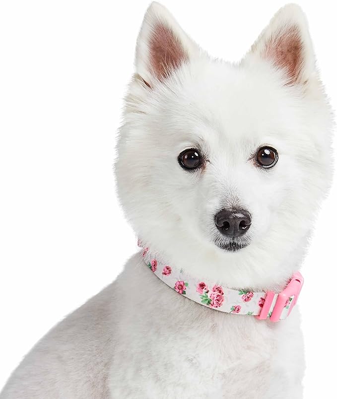 Cherry Garden Dog Collar with Dainty Flowers
