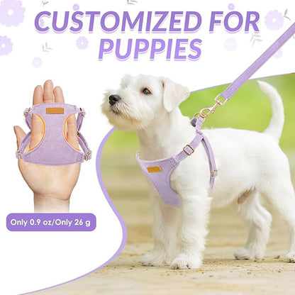 SlowTon Dog Harness Small Sized Dog - Soft XXS Dog Harness and Leash Set No Pull No Chock, Adjustable Lightweight Puppy Harness for XS Small Medium Dogs Cats (Solid Purple, XS)