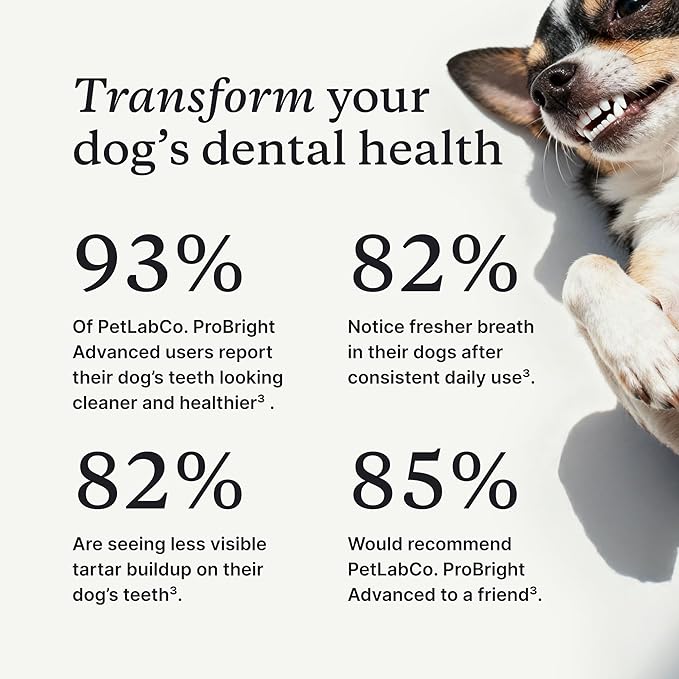 PetLab Co. ProBright Advanced Dental Powder - Dog Breath Freshener - Teeth Cleaning Made Easy – Targets Tartar & Bad Breath - Packaging May Vary - Formulated for Large Dogs