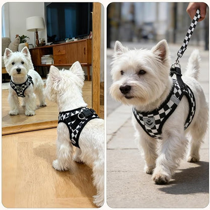 PUPTECK Adjustable Dog Harness Collar and Leash Set Step in No Pull Pet Harness for Small Medium Dogs Puppy and Cats Outdoor Walking Running, Checkered Black&White XS