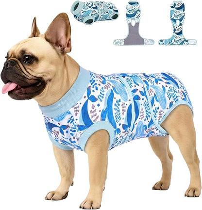 PetWarm Surgical Suit for Male Dogs After Neuter, Dog Surgery Suit, Cone of Shame Alternatives, Dog Surgical Recovery Onesies Female Male Dogs, Marine Animal Patterns, Blue, XS
